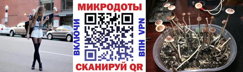 Псилоцибиновые грибы мухоморы  Мураши 