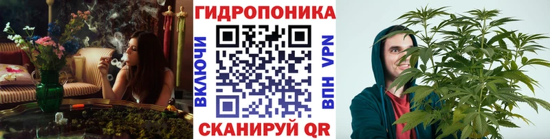 Конопля семена Мураши